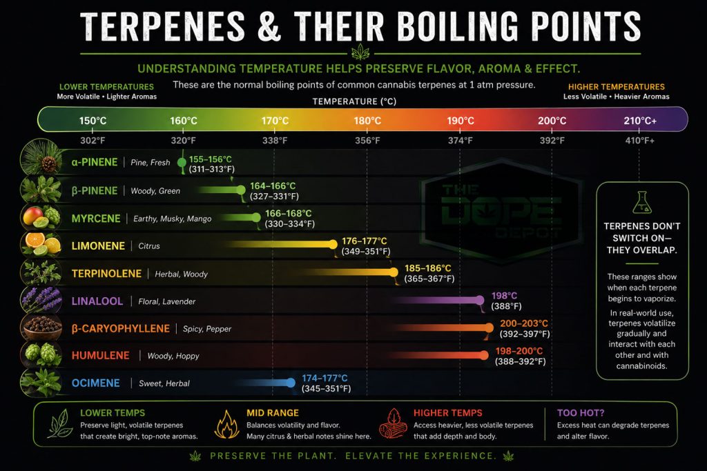 Dope Depot Reviews Presents Terpenes: Preserving Flavor and Aroma in Cannabis Extractions