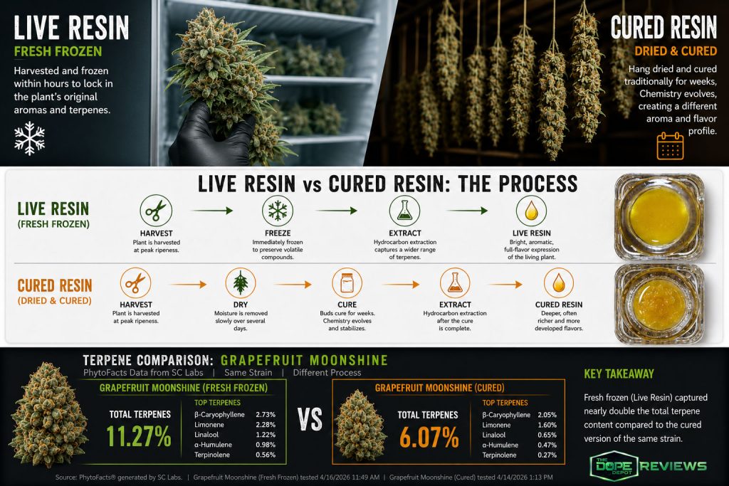 Live Resin VS Cured Resin Dope Depot Reviews