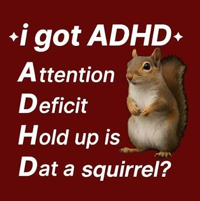 Look a Squirrel