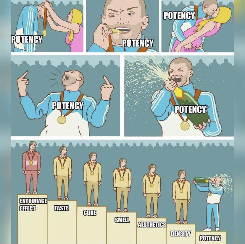 Potency Meme