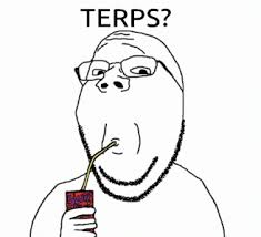 Terps