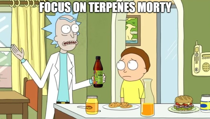 Focus on the Terps