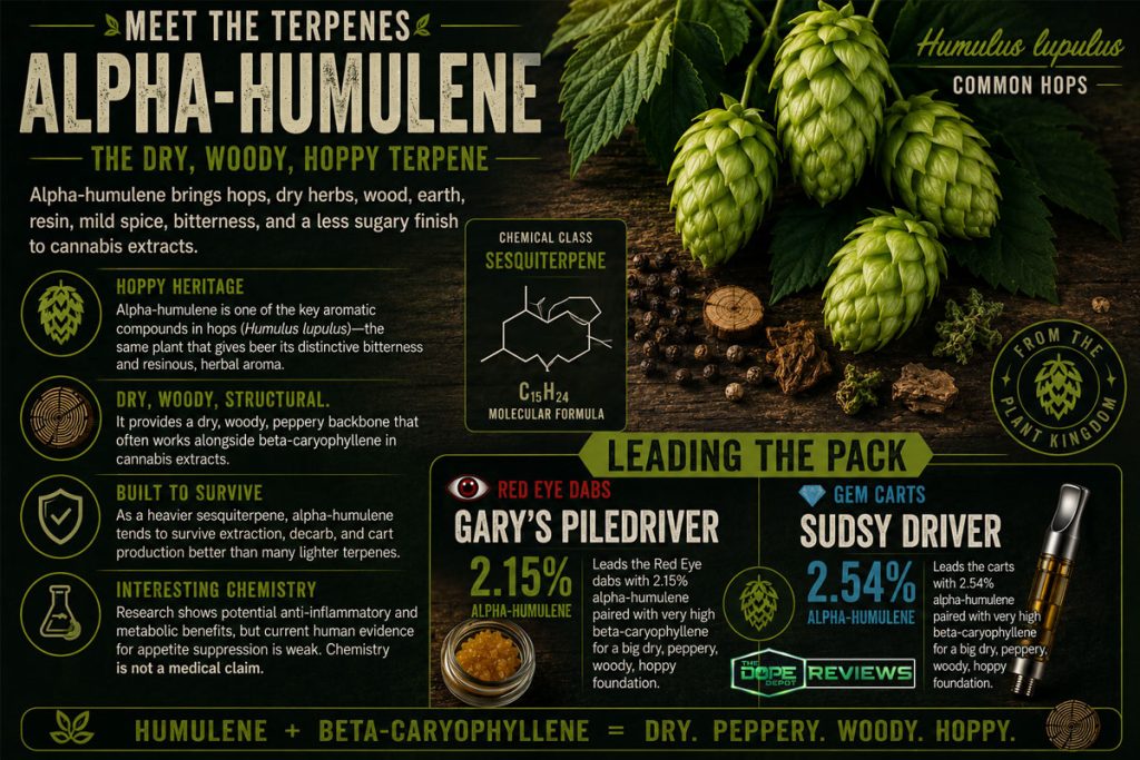 Meet the Terpenes Alpha-Humulene