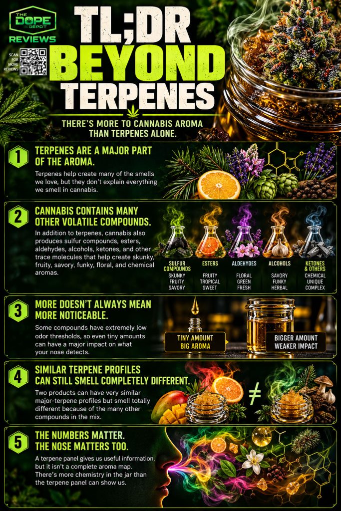 Beyond Terpenes TLDR