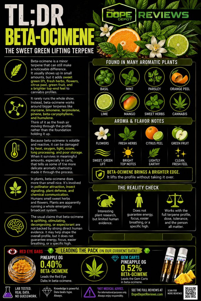 Meet the Terpenes: Ocimene