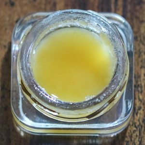 Jester's Reserve