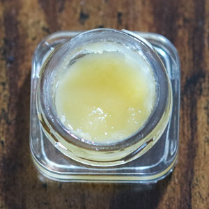 Mactini