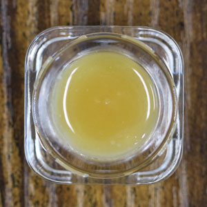 Sour Cherry Jackmosa