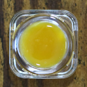 Sour Grape X Jack Herer