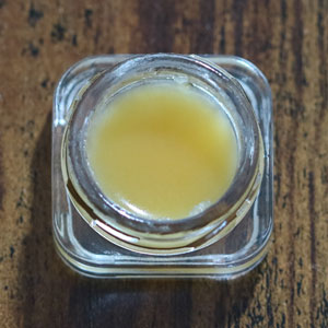 Star Dawg Sundae
