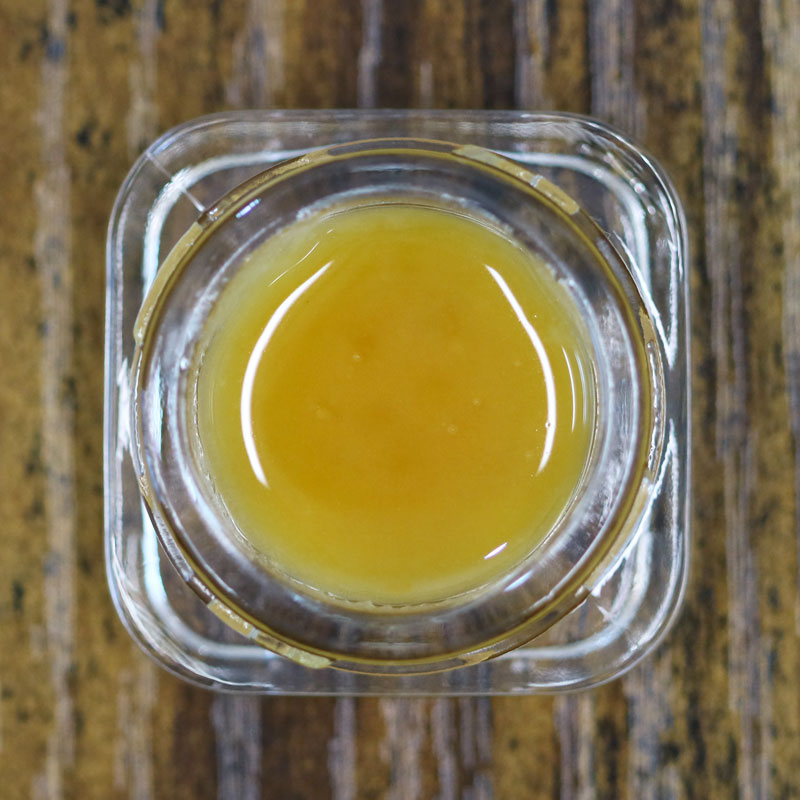 Gator Breath X Punch Breath