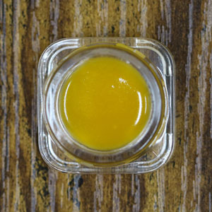 GSC Gelato by The Dope Depot