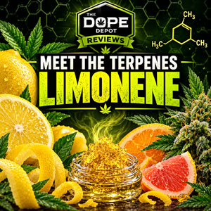 Meet the Terpenes Limonene