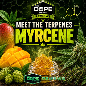 Meet the Terpenes Myrcene