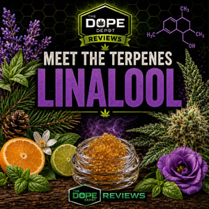 Meet the Terpenes Linalool