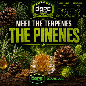 Meet the Terpenes: The Pinenes
